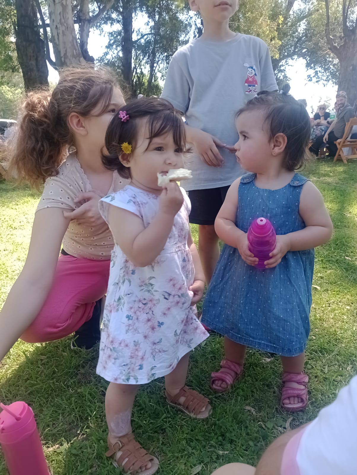 WhatsApp Image 2025-10-11 at 18.59.09.jpeg